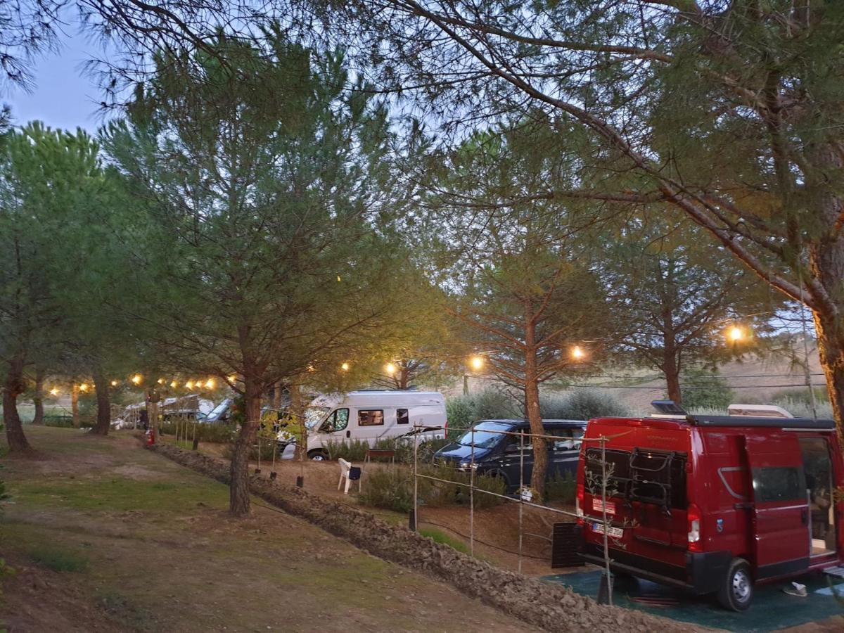 Agricamping Poggio Ai Pini Wine Camping Certaldo Exterior photo