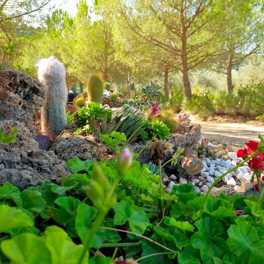 Agricamping Poggio Ai Pini Wine Camping Certaldo Exterior photo