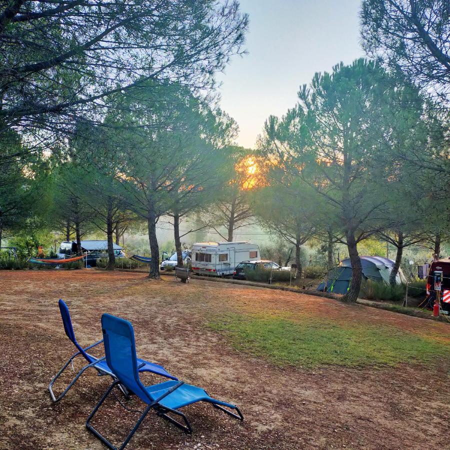 Agricamping Poggio Ai Pini Wine Camping Certaldo Exterior photo